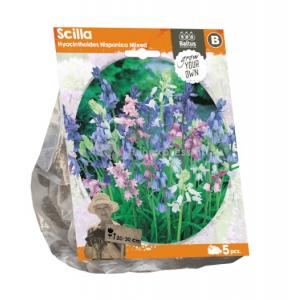 Baltus Scilla Hispanica Mixed Sterhyacinth bloembollen per 5 stuks